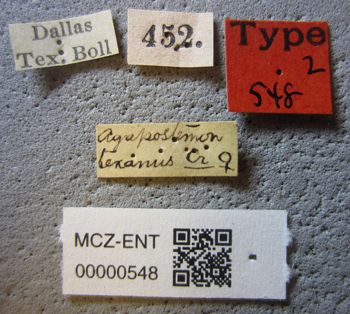 Media type: image;   Entomology 548 Aspect: labels